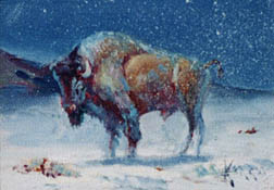 Buffalo in snow