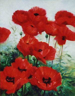 Red Poppies